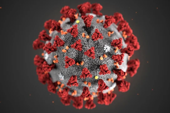 COVID-19 virus cell pictured