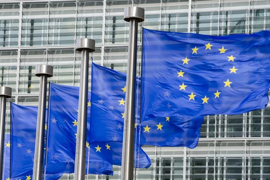 European Union flags on poles