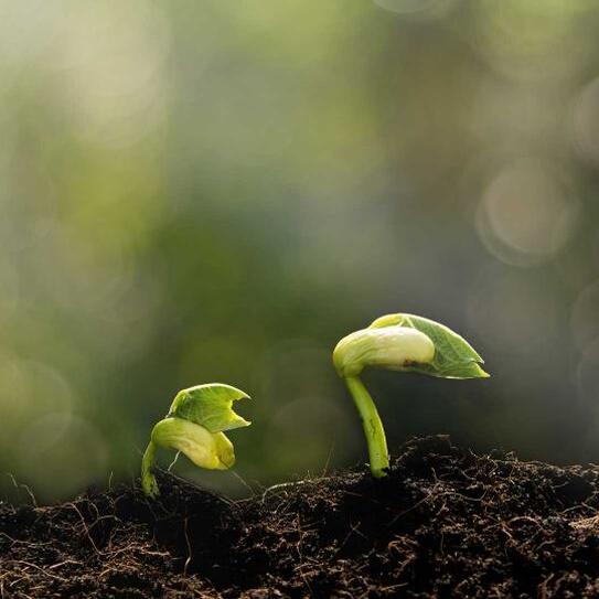 10 Alumni VCs Share their Best Advice for Entrepreneurs